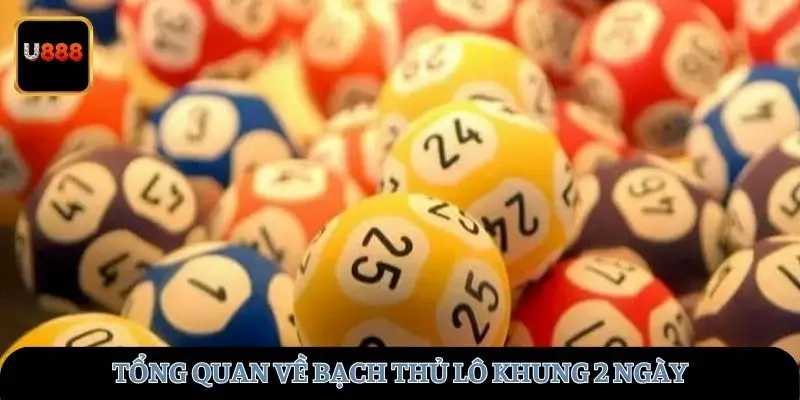 Tổng quan về loại hình này