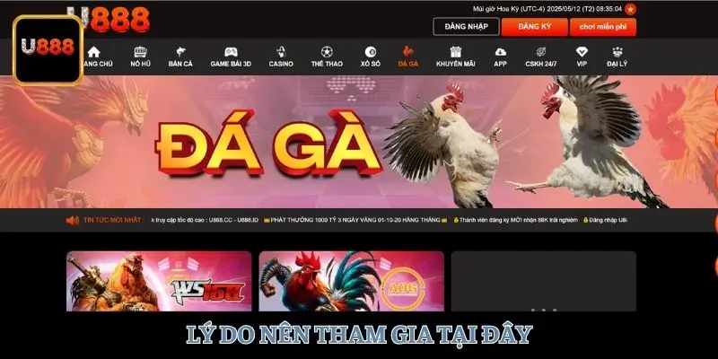 Lý do nên tham gia tại đây