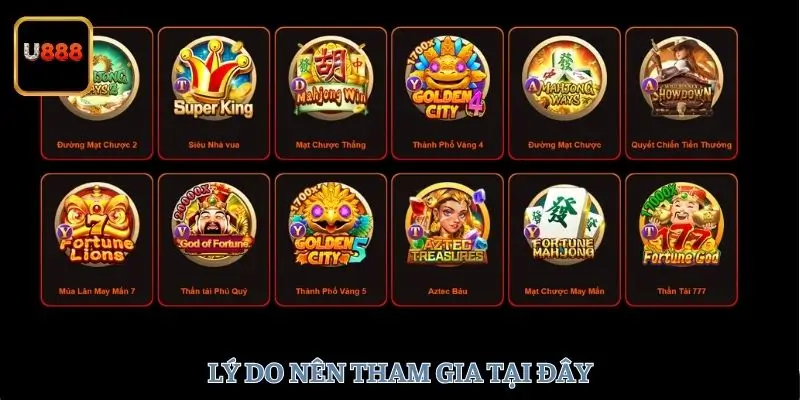 Lý do nên tham gia tại đây