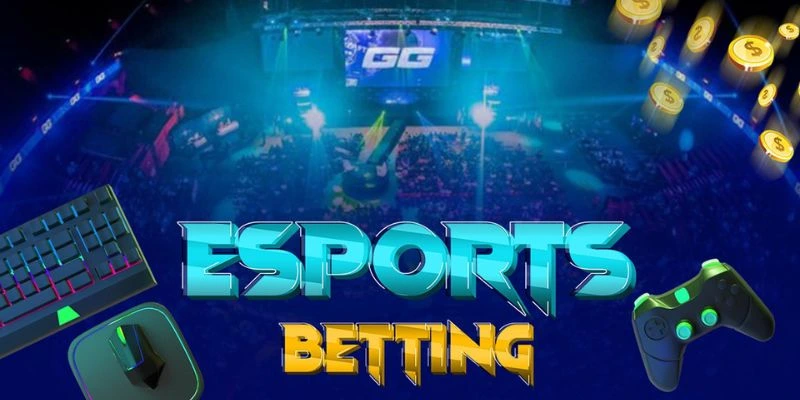 Kinh nghiệm cá độ Esports với người mới bắt đầu tham gia