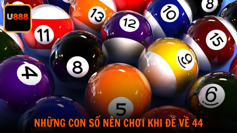 Gợi ý những con số nên chơi khi đề về 44