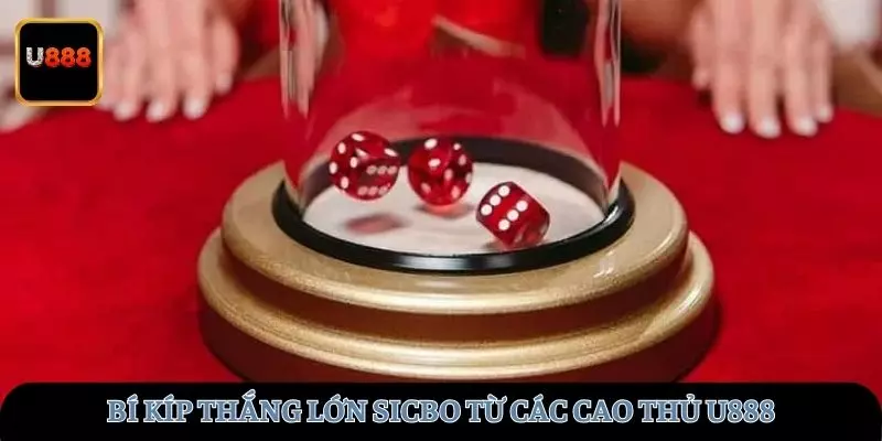 Bí kíp thắng lớn từ các cao thủ tại U888