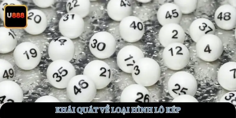 Khái quát về loại hình lô kép