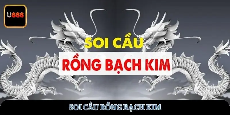soi-cau-rong-bach-kim