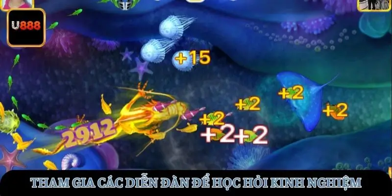 Tham gia các diễn đàn