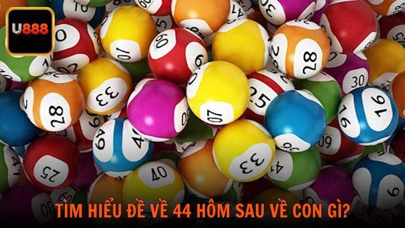 Tìm hiểu đề về 44 hôm sau về con gì?