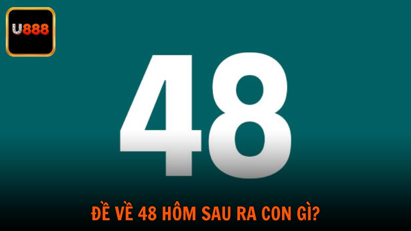 Đề về 48 hôm sau ra con gì? Soi từ các hướng độc lập