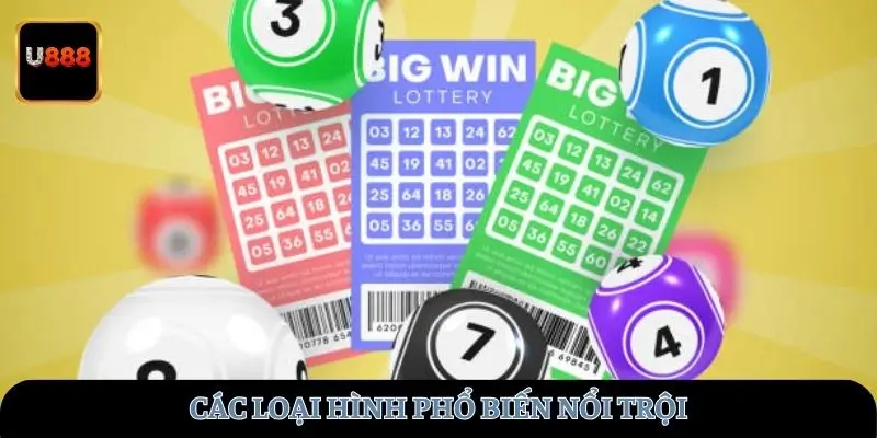 Các loại hình phổ biến nổi trội