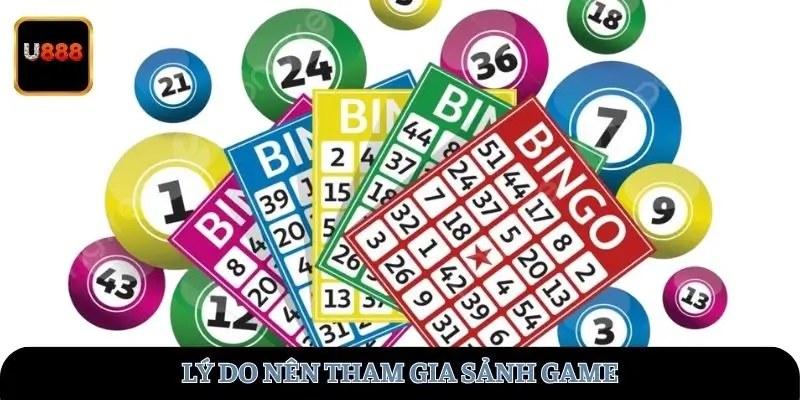 Lý do nên tham gia sảnh game